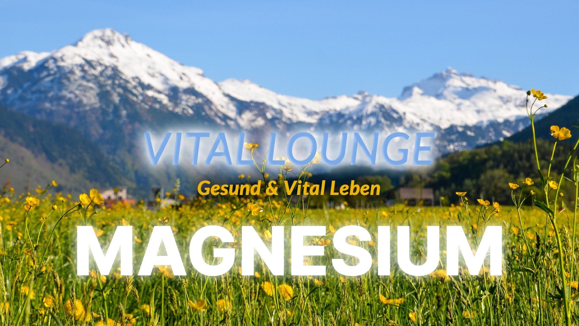 Vital Lounge - Magnesium