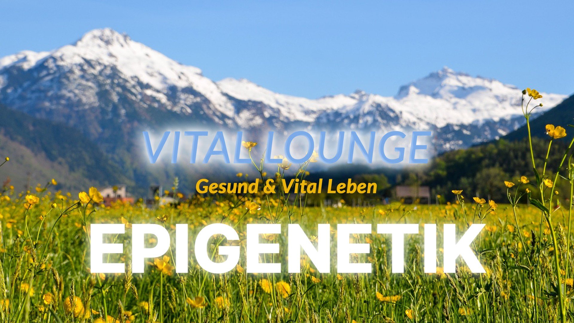 Vital Lounge Titelbild: Epigenetik: Du bist nicht deine Gene – wie Lebensstil deine DNA steuert