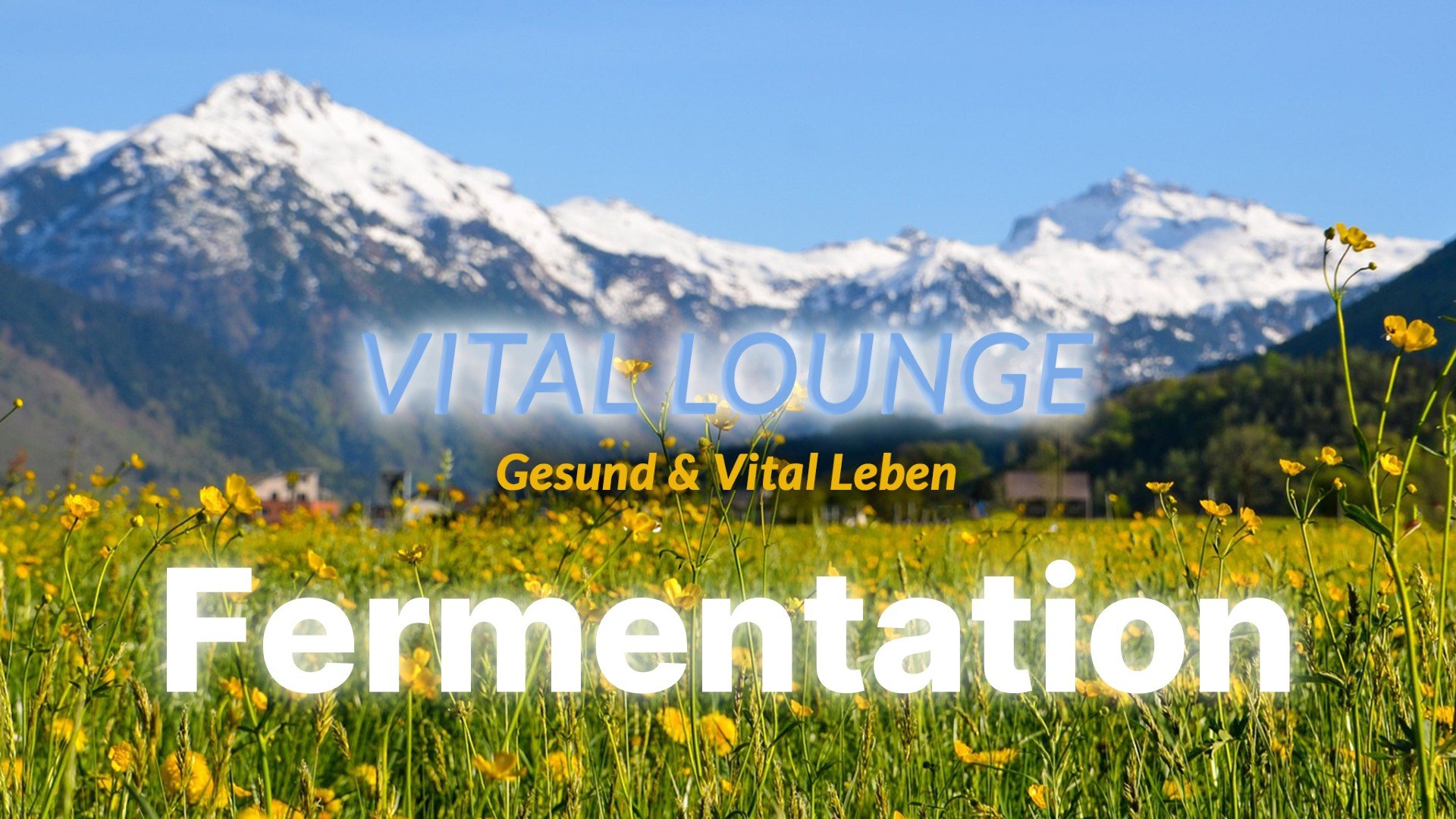 Fermentierte Lebensmittel – Sauerkraut, Kombucha & Co.: Was dein Darm schon immer wusste