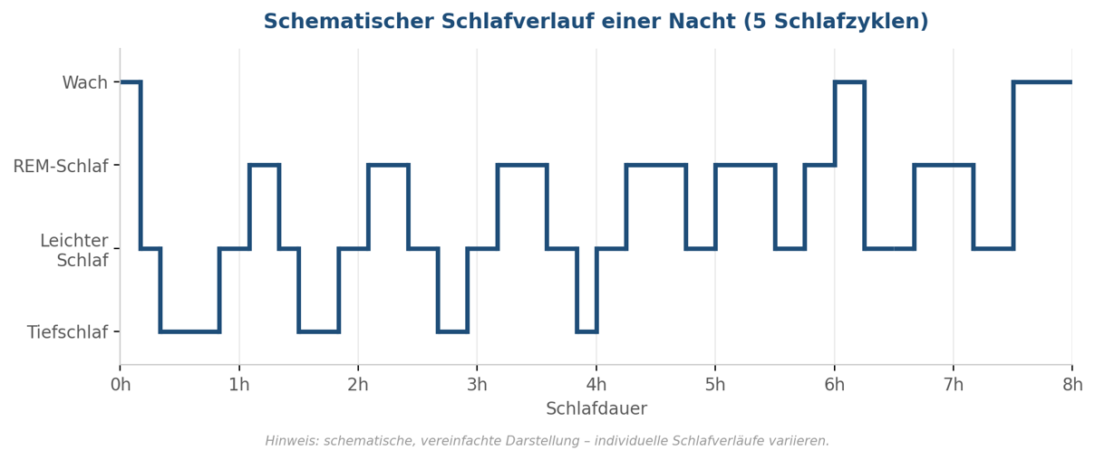 Schematischer Schlafverlauf einer Nacht Schematishcer Schlafverlauf einer Nacht - Copyright: Sanuvita
